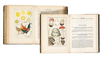 (PHARMACEUTICAL NATURAL HISTORY.) Eduard Winkler. Pharmaceutische Waarenkunde oder Handatlas der Pharmakologie,